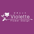 viollet_logo2.gif